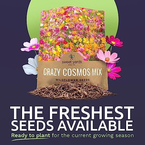 Cosmos Seeds Wildflower Mixture - Bulk 1 Ounce Packet - Over 5,000 Seeds - Pink, Yellow, Orange, Red, Purple and White Mixed Species! - Image 2