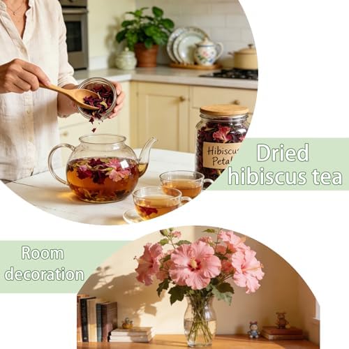 Confederate Rose Seeds, Color-Changing Hibiscus, White to Pink to Red Bloom - Image 6