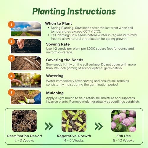 Outsidepride Salmon Gomphrena Seeds - 2000 Pcs Annual, Heat & Drought Tolerant, Pollinator Friendly Globe Amaranth Seeds for Planting w/Vibrant Round Blooms for Beds, Borders, and Arrangements - Image 4