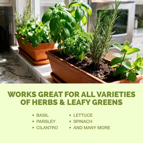 Herb Plant Food – Liquid Fertilizer for All Edible Herbs, 8 oz - Image 6