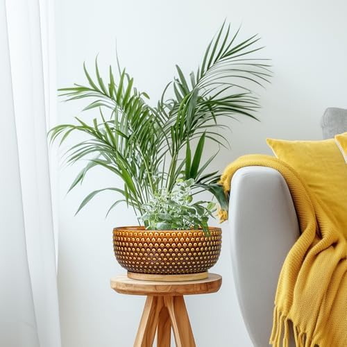 Bonsai Pots - 8 Inch Succulent Bowl for Indoor Plant, Shallow Round Ceramic Planters with Drainage Hole and Saucer, Boho Home Room Office Apartment Decor, Plant Lovers Gifts, Brown - Image 7