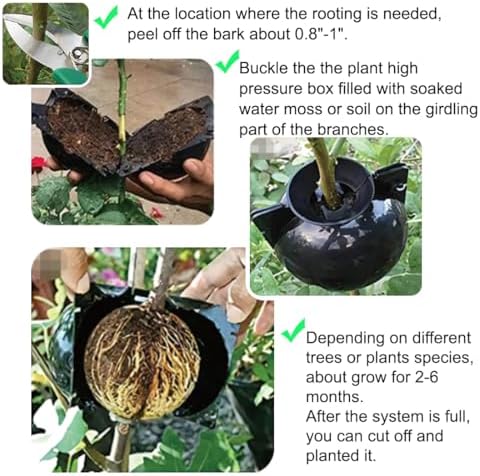 MIIIM 9 PCS Air Layering Propagation Kit, Reusable Half Clear Grafting Ball, Air Layering Pods Clear, Plant Rooting Ball for Fast Propagation (S+M+L) - Image 3