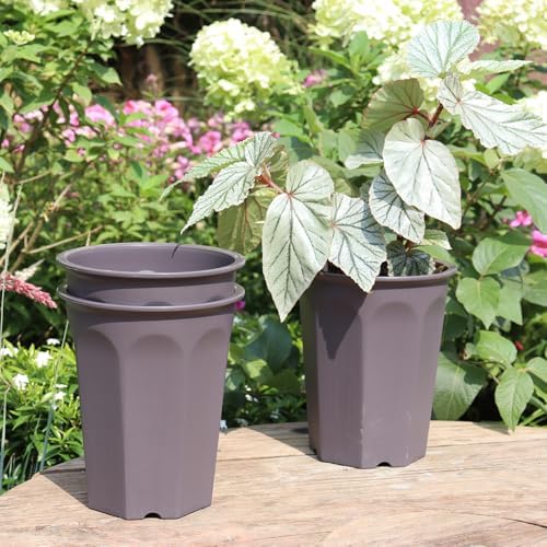 8 Pack 6.10 Inch Plastic Deep Nursery and Seedling Pots, Round Transplant Seed Starter Planter, Gray Color - Image 4