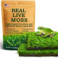 Live Moss Duo Pack 2 Types of Real Live Sheet/Sphagnum Moss for Terrariums, Terrarium Mosses Landscaping, Reptile Tank Accessories, Snake & Gecko Humidity Substrate Mosses for Crafts & Plant Décor by LUCKYRUNES