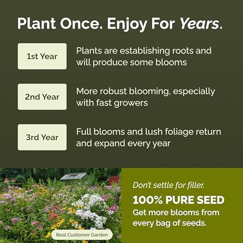 Eden Brothers All Perennial Wildflower Mixed Seeds for Planting, 1 oz, Seeds with Lupine, Shasta Daisy | Attracts Pollinators, Plant in Spring or Fall, for Zones 3, 4, 5, 6, 7, 8, 9, 10 - Image 2