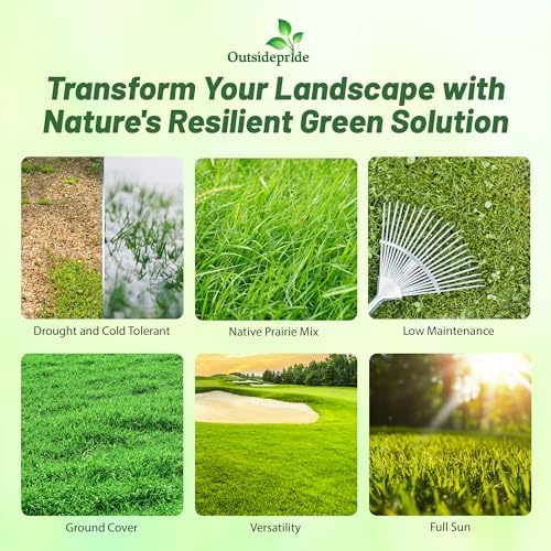 Outsidepride Xeriscape Native Prairie Grass Seed Mix – 25 lb. Perennial, Warm-Season, Cold & Drought-Tolerant, Fine Leaved, Dense Turf Grass Seeds for Lawn, Ground Cover & Arid Xeriscape Landscaping - Image 3