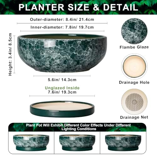 8 Inch Ceramic Bonsai Tree Pots with Saucer, Droplet Green - Image 2