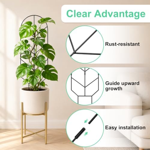 2 Pack Large Metal Trellis for Climbing Plants, 30'' Tall Garden Plant Support for Potted Plants Indoor, Modern Decorative Trellis for Jasmine, Wisteria and Lilac Vines (Black - Image 3