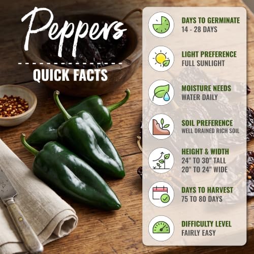 Seed Needs Ancho Grande Pepper Seeds to Plant Vegetables - 5 Packs - Image 4