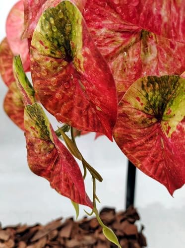 Fake Reptile Plants for Terrarium,Hanging Plant with Suction Cup - Image 4