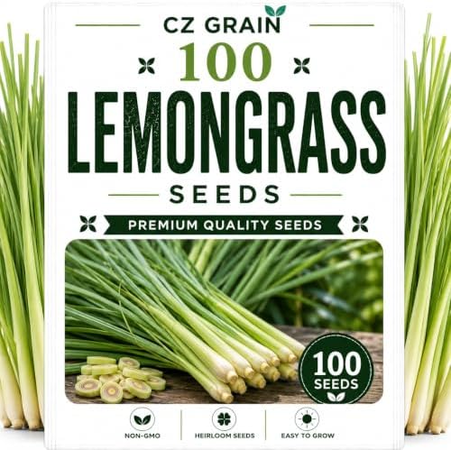 Garden Seeds for Planting, 100 Lemongrass by CZGrain