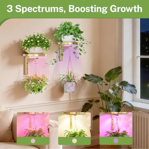 Plant Wall Hanger with Grow Lights Set of 2 for Indoor, Gold - Image 5