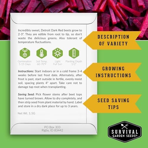 Beet Seeds 4 Variety Pack for Planting - Root Vegetables - Image 2