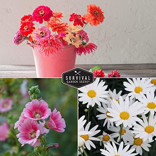Flower Seeds Variety Pack for Planting – Annual & Perennial - Image 4
