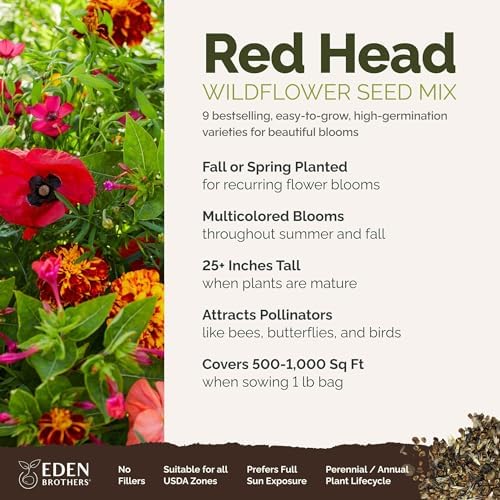Eden Brothers Red Head Wildflower Mixed Seeds for Planting, 1 lb, 480,000+ Seeds with Maltese Cross, Scarlet Flax | Attracts Pollinators, Plant in Spring or Fall, Zones 3, 4, 5, 6, 7, 8, 9, 10 - Image 2