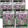 Sow Right Seeds - Tall Mixed Globe Amaranth Seed for Planting Gomphrena 4pk by SowRightSeeds