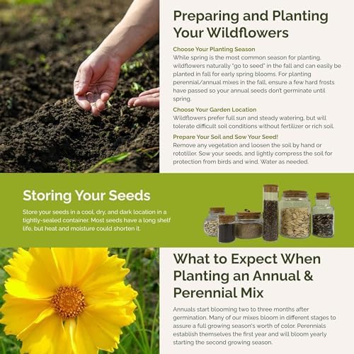 Eden Brothers Mississippi Wildflower Mixed Seeds for Planting, 1 oz - Image 6