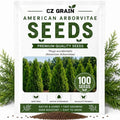 American Arborvitae Privacy Tree Seeds | Evergreen Hedge | 100 Seeds by CZGrain