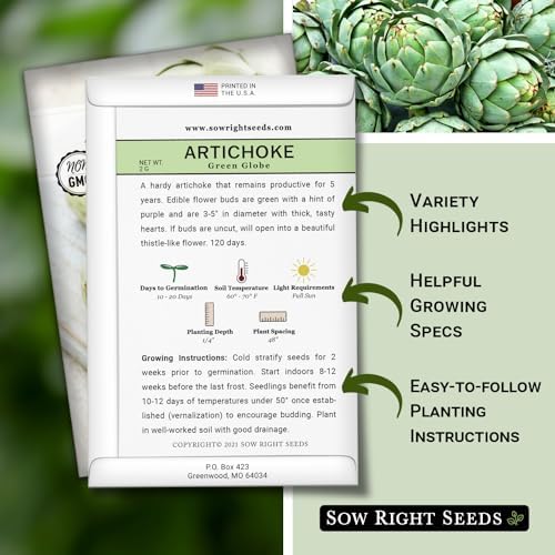 Sow Right Seeds - Green Globe Artichoke Seed for Planting Outdoors 3pk - Image 2