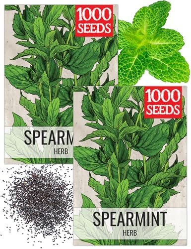 Seed Needs Spearmint Seeds to Plant an Herb Garden - 2 Packs by SeedNeeds