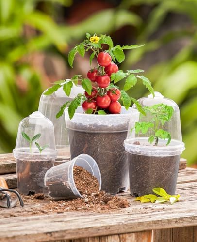 homenote 4 Inch Clear Nursery Pots with Humidity Domes and Labels (30 Pcs) - Image 2