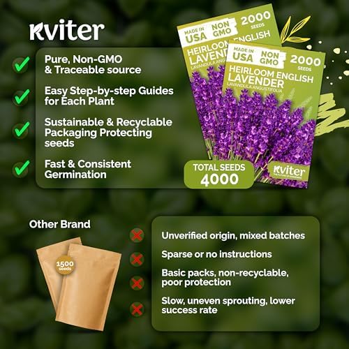 4,000 English Lavender Heirloom Herb Seeds, Lavandula Angustifolia - Image 5