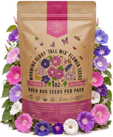 Morning Glory Tall Mix Seeds 1oz Over 800 Non-GMO Heirloom Ipomoea purpurea Seeds for Planting, Annual Flowers in Individual Packet, Planting Home Garden Indoor & Outdoor Gardening by OrganoRepublic