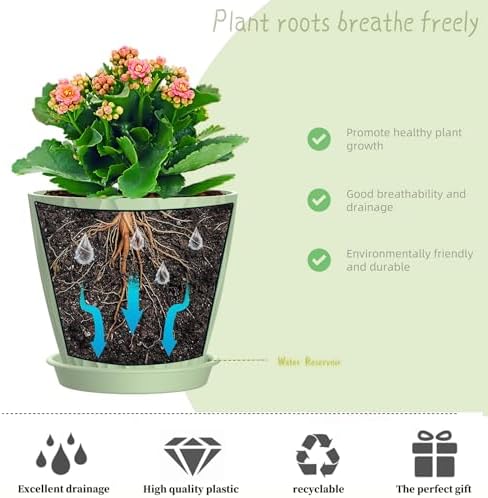 4 Inch Plant Pots, 6 Pack Indoor Flower Pots, Planters with Drainage Holes and Trays for Orchids, Violets, Succulents, Herbs, and Other Plants,Green - Image 4