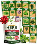 HOME GROWN 15 Herb Seed Variety Kit, 4,300+ Seeds, Culinary Herb Kit by HOMEGROWN