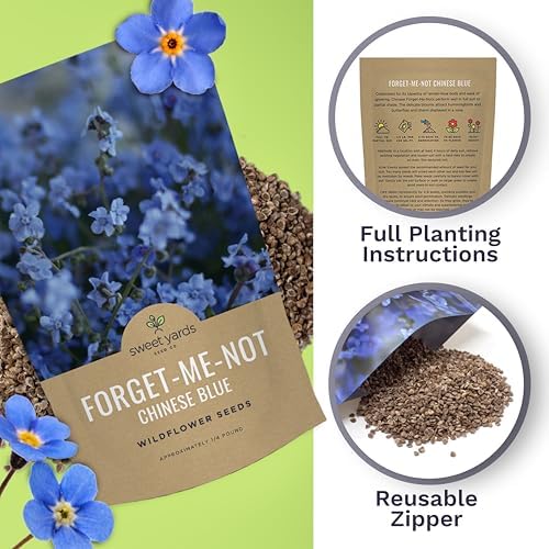 Chinese Forget Me Not Wildflower Seeds - Bulk 1/4 Pound Bag - Over 22,000 Open Pollinated Seeds - Blue Cynoglossum amabile - Image 5
