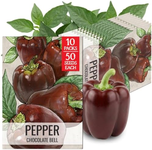 Seed Needs Sweet Chocolate Bell Pepper Seeds to Plant Vegetables - 10 Packs by SeedNeeds