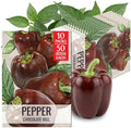 Seed Needs Sweet Chocolate Bell Pepper Seeds to Plant Vegetables - 10 Packs by SeedNeeds