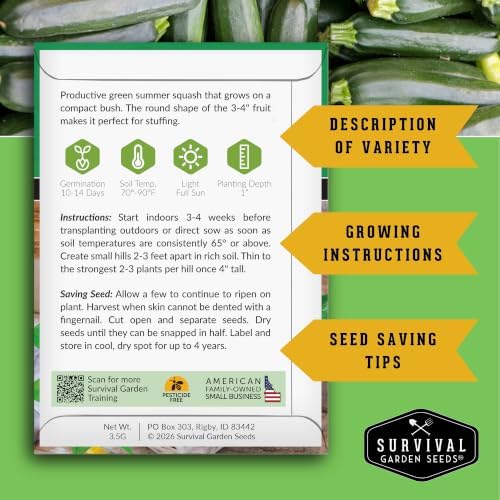 Zucchini & Summer Squash Seeds Collection for Planting - Image 2