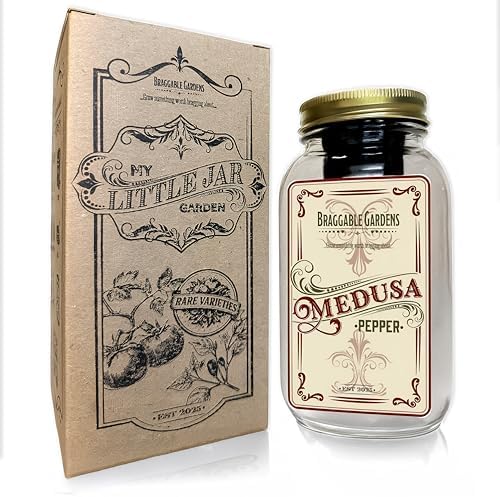Medusa Pepper Indoor Garden Kit – Mason Jar Hydroponic Pepper Grow Kit – Windowsill Countertop Pepper Plant – Grow Ornamental Chili Peppers Indoors - Image 6