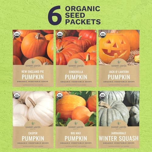 Organic Pumpkin Seeds Variety Pack - 6 Individual Packs - 2026 Season - Jack O' Lantern, Cinderella, Big Max and More! for Indoor & Outdoor Planting (Non-GMO, Certified Organic) - Image 2