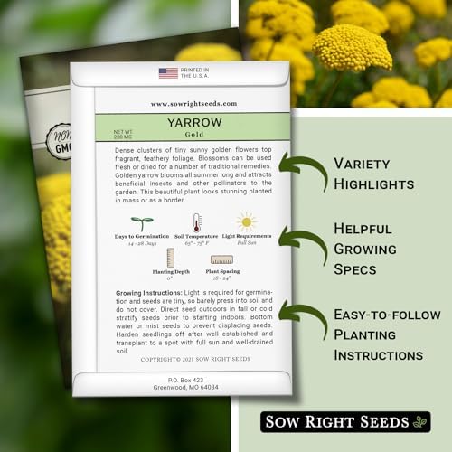 Sow Right Seeds - Gold Yarrow Seed for Planting Your Perennial Herb Garden - Image 2