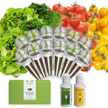 inbloom Organic Salad Seed Pod Kit for AeroGarden, Ahopegarden Hydroponics Growing System,Low-Calorie Food, 12-Pods (350+ Seeds, Include Fast and Butter Lettuce, Red Cherry and Golden Cherry Tomato) by inbloomgarden