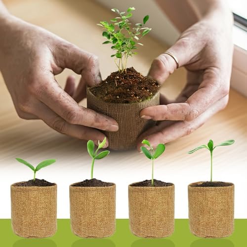 Premium Bonsai Kit,Complete Bonsai Starter Kit with Wooden Gift Box,repotting mat, Burlap Pots & Gardening Tools, DIY Bonsai Plant Set for Adults & Beginners (Seeds Excluded)Birthday Thanksgiving gift - Image 6
