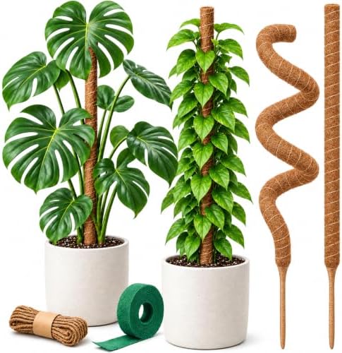 30" Moss Pole Monstera Plant Support, Plant Stakes for Indoor Plants by Craft911byLIME