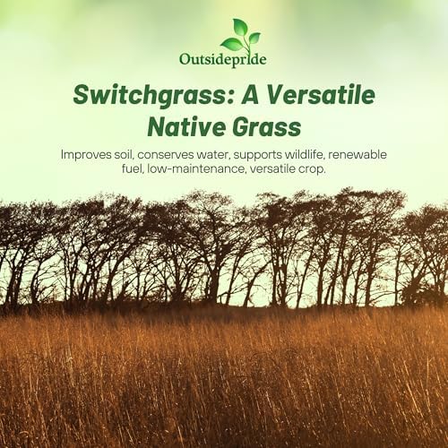 Outsidepride Switchgrass Seed - 10 lbs. Perennial Hardy, Drought & Flood Tolerant Native Grass Seed Ideal Fast-Growing Grasses for Erosion Control, Wildlife Forage & Food Plots, Thrives in Poor Soil - Image 6