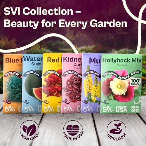 SVI 35 Cushaw Green Striped Pumpkin Seeds (Cucurbita mixta) – Cushaw Squash, Non GMO Winter Squash Seed Packets – Heirloom Vegetable Seeds for Planting Outdoors in Home Garden & Raised Beds - Image 7