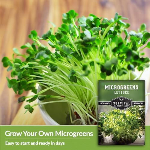Lettuce Microgreens Seeds for Planting - 2 Packs - Image 4