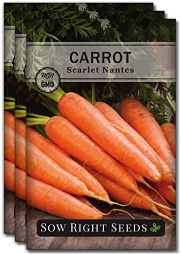 Sow Right Seeds - Scarlet Nantes Carrot Seed for Planting Baby Carrots 3pk by SowRightSeeds