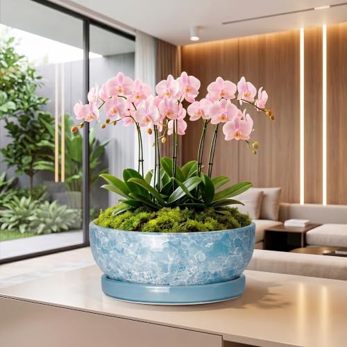 Succulent Planter, 13 Inch Ceramic Bonsai Pots, Droplet Blue - Image 5
