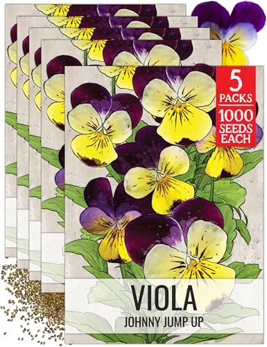 Seed Needs Johnny Jump Up Seeds for Planting Helen Mount Violas - Heirloom & Open Pollinated Flower Seed to Plant an Outdoor Flower Garden - Perfect for Borders, Pots & Containers by SeedNeeds