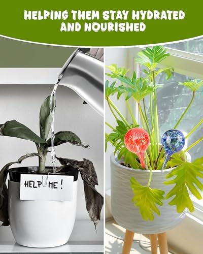 Iridescent Self Watering Globes, Glass Rainbow Plant Watering Globes, Self Watering Planter Insert, Automatic Plant Waterer Indoor (Small-4 Pcs Multi-Color) - Image 6
