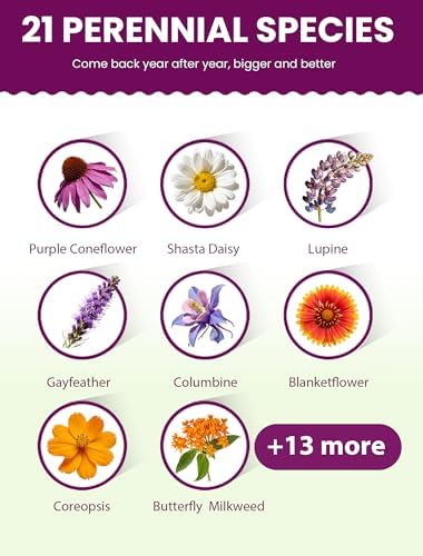 Wildflower Seeds – Perennial Paradise Mix, 21 Heirloom Species, 90,000+ Seeds (1lb) Covers 1125-1350 sq. ft., High Germination for Outdoor Pollinator Garden - Image 3