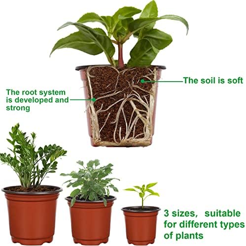 Augshy 120 Pcs Plastic Plants Nursery Pot, Seed Starting Pots 4,5,6-Inch - Image 3