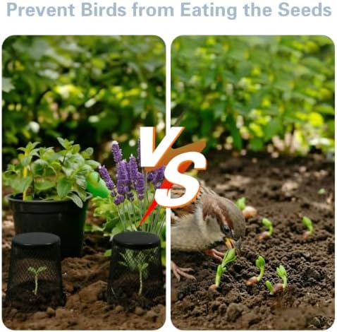 6 PCS Small Chicken Wire Plant Covers for Seedling, 3.5 Inch Mini Garden Cloches Metal Netting Protectors for Keeping Chicken Squirrels Birds Out, Only Suitable for Very Small Seedlings or Seeds - Image 2