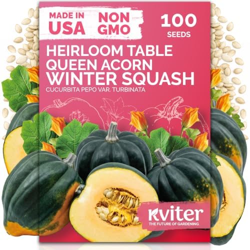 100 Table Queen Heirloom Acorn Squash Seeds, Cucurbita Pepo var. Turbinata by KVITER